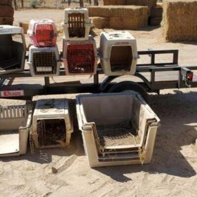 485	

Dog and Cat Crates, Carriers and Houses
12 + or - Dog and Cat Crates, Carriers and Houses all for one money !