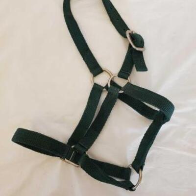 374	

New Small Horse Nylon Halters
New Small Horse Nylon Halters
New in bags
Small nylon horse halters
50 count + or -