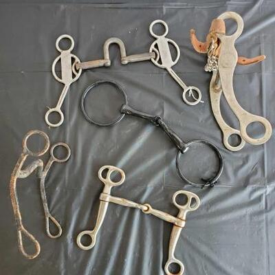 142	

Five bits, Correctional, Curbs and Snafffles
Five bits, Correctional, Curbs and Snaffle Bit