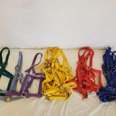 373	

New Standard Horse Size Nylon Halters in all Colors
New Standard Horse Size Nylon Halters in all Colors
Quantity is 17 + or -