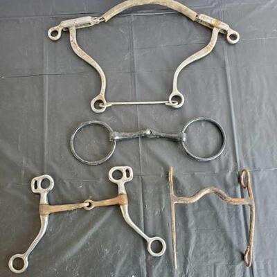 145	

Two Snaffles, Cowboy Curb and a Hackamore Bit
Two Snaffles, Cowboy Curb and a Hackamore Bit