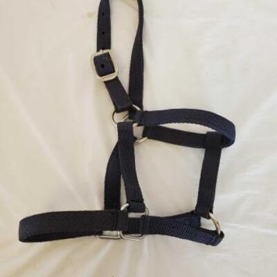 374	

New Small Horse Nylon Halters
New Small Horse Nylon Halters
New in bags
Small nylon horse halters
50 count + or -