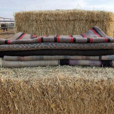 172	

Five Saddle Blankets
Five Used Saddle Blankets