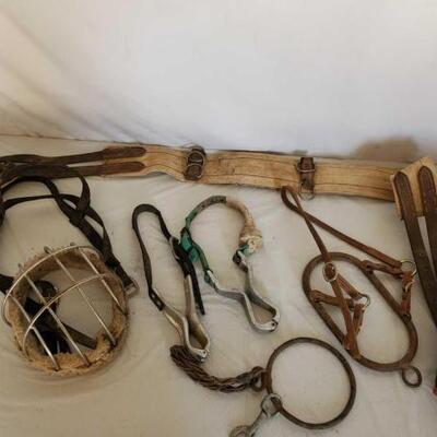 417	

A Lot of Horse Trainers Tools
A Lot of Horse Trainers Tools
Sur-single
Muzzle cage
2 cribbing collars
2 Nose bosals
Fly mask
Bar F...