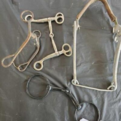 143	

Four Bits, Quick Hackamore Bit, Two Snaffles and a Curb Bit
Four Bits, Quick Hackamore Bit, Two Snaffles and a Curb Bit