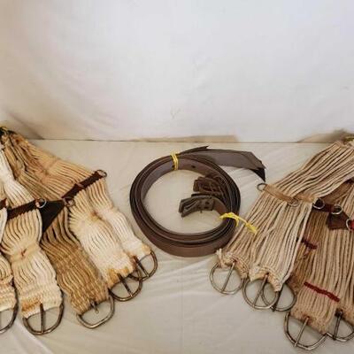 Nice Used Cinches and Latigos
Nice Used Cinches and Latigos;
10 Used and Very Well Cleaned Cinches All Around 30"
7 Nylon Latigos