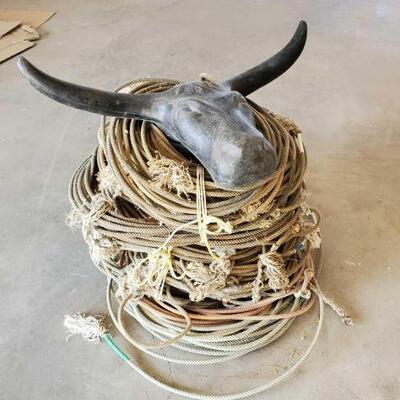 86	

1 Steer Head Roping Dummy and Bundles of Misc Used Ropes
1- Steer Head Roping Dummy
3 + OR - Bundles of used Ropes. Great for home...