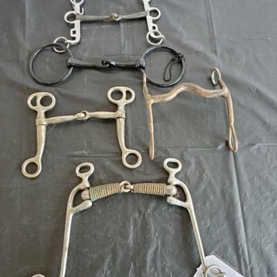 144	

Three Snaffles, Walking Horse Bit and a Cowboy Curb Bit
Three Snaffles, Walking Horse Bit and a Cowboy Curb Bit