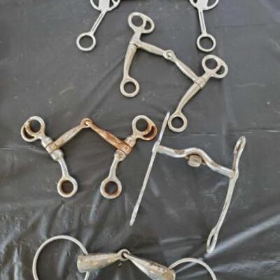 139	

Five cowboy bits, snaffles, Roller, and Correctional Bits
Five cowboy bits, snaffles, Roller, and Correctional Bit
