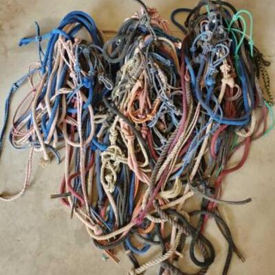 452	

Ranch Rope Halters and Lead Ropes
Ranch Rope Halters and Lead Ropes
Approximately 45 in total