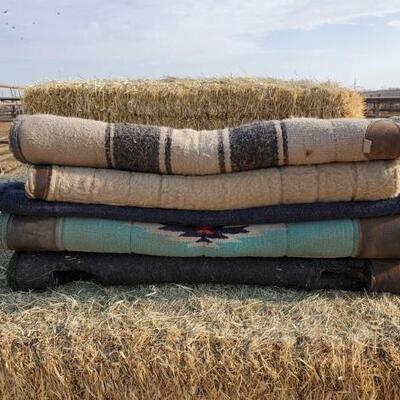 173	

Five Saddle Pads
Five Used Saddle Pads