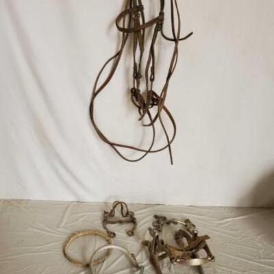 136	

Bridle, Bits, Rawhide Nose Band, Dental Tool and a Donal Horse Perfecter
Bridle, Bits, Rawhide nose band, Dental Tool and a Donal...