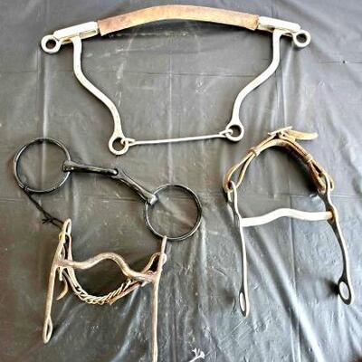 141	

Two Cowboy Curbs, a Ring Snaffle and a Hackamore Bit
Two Cowboy Curbs, a Ring Snaffle and a Hackamore Bit