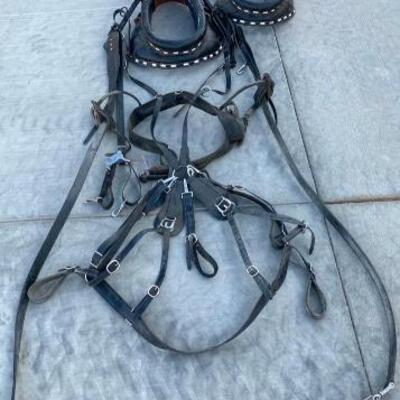 304	

Single-up Like New Patton Leather Horse harness Complete with 2- Different Sized Collars
This is a very nice harness and hardly...