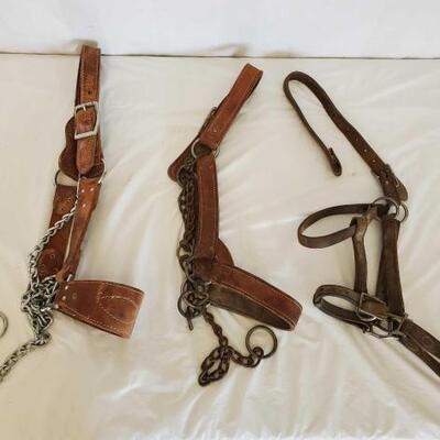 376	

3-Harness Leather Livestock Halters
3-Harness Leather Livestock Halters
one needs some repair