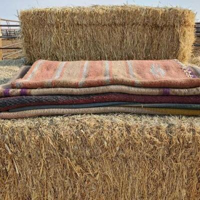175	

Five Saddle Blankets
Five Used Saddle Blankets