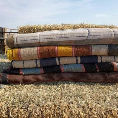 181	

Five Saddle Pads
Five  Used Saddle Pads