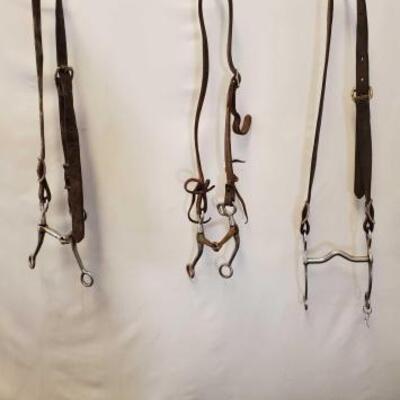 161	

Seven Assorted Cowboy Bridles, Bits and Hackamore
Seven Assorted Used Cowboy Bridles, Bits and Hackamore