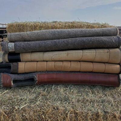 176	

Five Saddle Pads
Five Used Saddle Pads