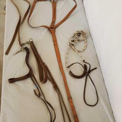 408	

Cowboy Running Martingale and Three Tie Downs
Cowboy Running Martingale and Three Tie Downs