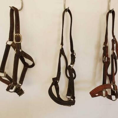 357	

3-Harness Leather Horse Size Halters
3-Harness Leather Horse Size Halters