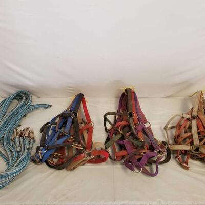 536	

Lot Full of Nylon Webbed Horse Size Halters and Lead Ropes
Great lot of Nylon Webbed Halters and Lead Ropes. Always need a few...