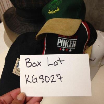 https://www.ebay.com/itm/114479249788	KG8027: Fadora, Baseballâ€¦. Hat Box Lot Local Pickup	Auction
