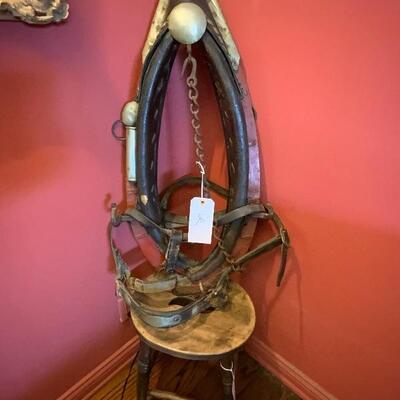 PLEASE REVIEW OUR TERMS & CONDITIONS BEFORE YOU COME!!  

https://scavengersparadiseesta...

We will require masks & we will be...