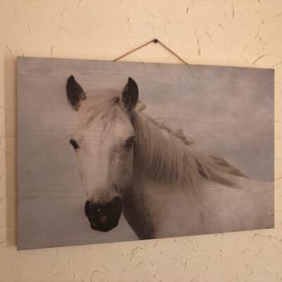 horse pictures