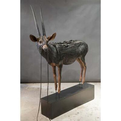 #100 â€¢ African Antelope