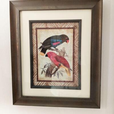 Tommy Bahama Parrot Framed Print
