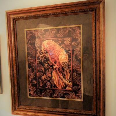 Large Framed Parrot Print