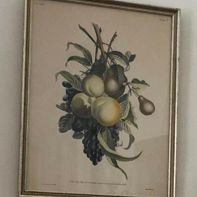 https://www.ebay.com/itm/124467489678	PR2074A Colored Print of Fruit, J. L. Prevost invenit, Ruotte Direxil Local Pick		 Buy-IT-Now...