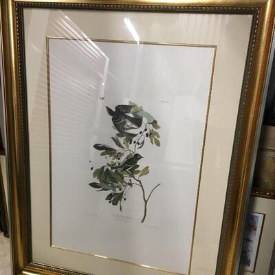  Audubon Prints 2/$350