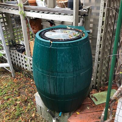 One of several rain collection barrels