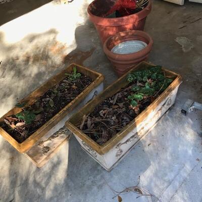 planters $20 each