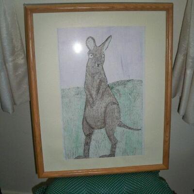 Kangaroo Picture