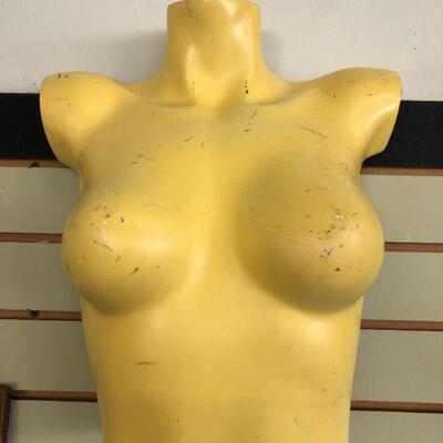 Vintage female torso