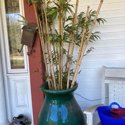 Includes 1 large green flower pot with plant measuring 35 in tall and is 19 in across the opening however the base is much larger. See...
