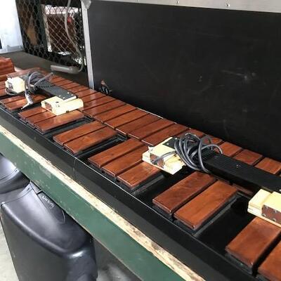 Xylosynths