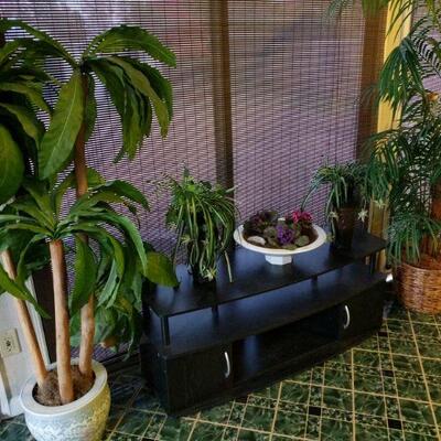 https://ctbids.com/#!/description/share/697700 This lot comes with 2 silk palms 5’ one is in a beautiful Asian ceramic planter, 2 vases...