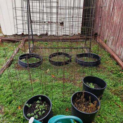 https://ctbids.com/#!/description/share/697675 Includes vertical garden stand, tomato cages, planters and watering can.
