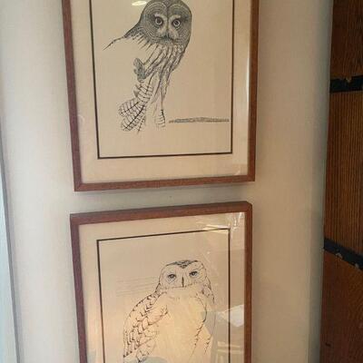 Owl Prints