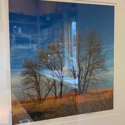 Tom Pott Art Photography