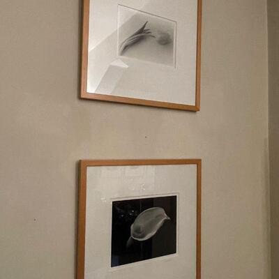 Signed art photography
