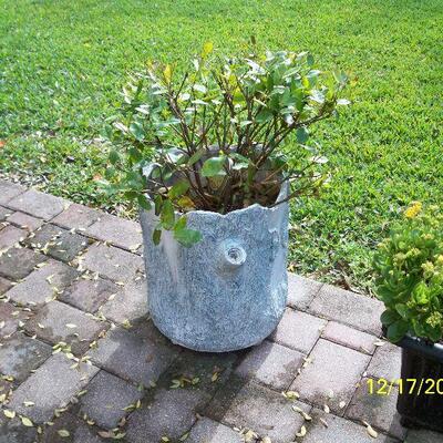 Log style Planter with plant