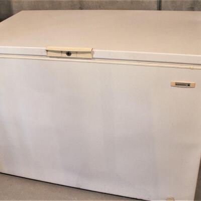 Large 15.4 cubic foot Kelvinator freezer.