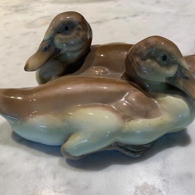 Rosenthal ducks