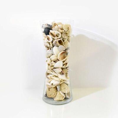 Seashells in Clear Glass Vase