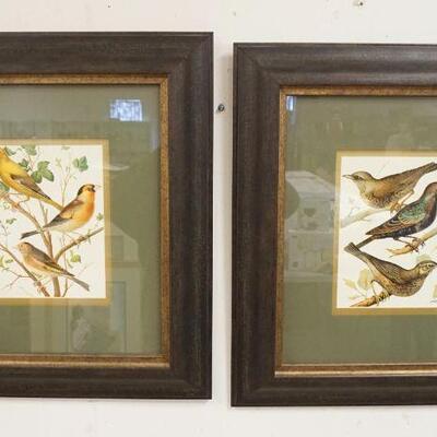 1182	2 FRAMED & MATTED BIRD PRINTS SIGNED RUTLEDGE, 22 IN X 24 IN	50	100	25	PLEASE PAY ATTENTION FOR DAILY ADDITIONS TO THIS SALE....